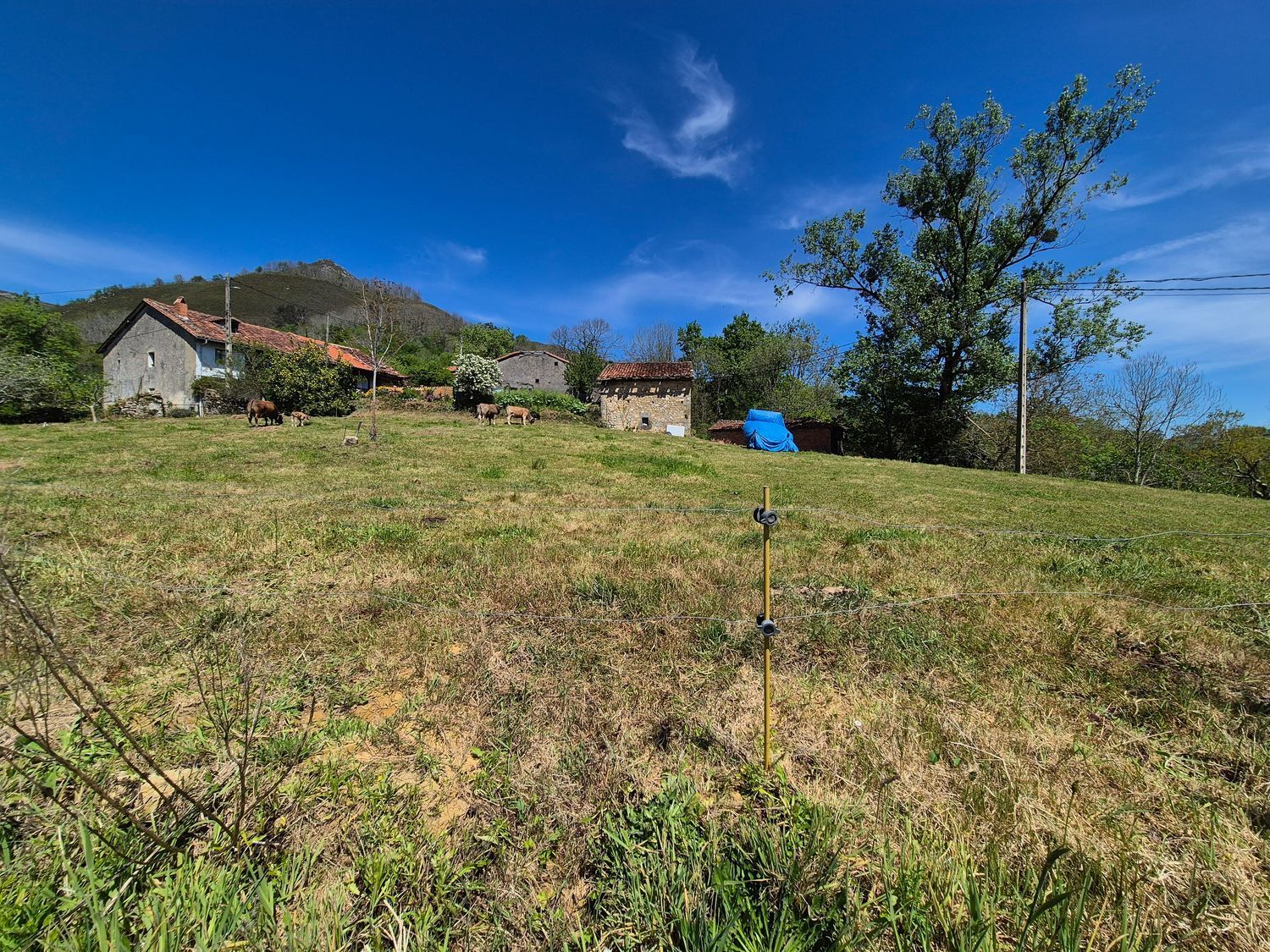 Fincas y solares-Venta-Cangas de OnÃ­s-1745085-Foto-10