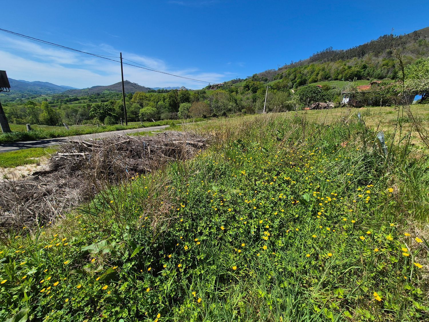 Fincas y solares-Venta-Cangas de OnÃ­s-1745085-Foto-9