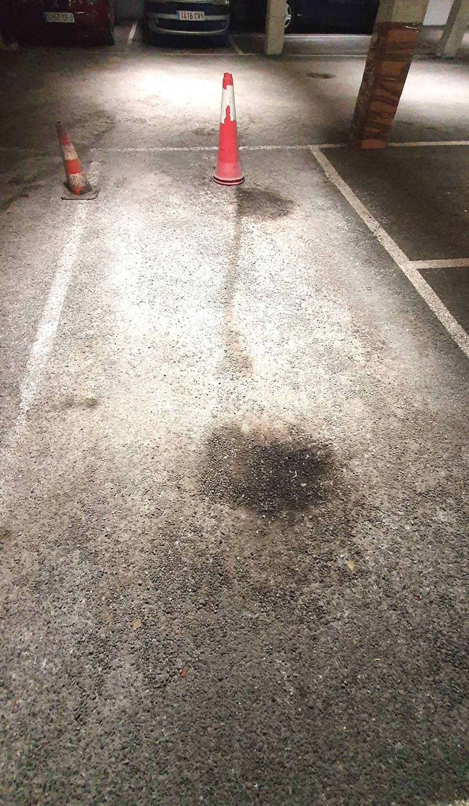 Propiedad en alquiler en Asturias, Gijón