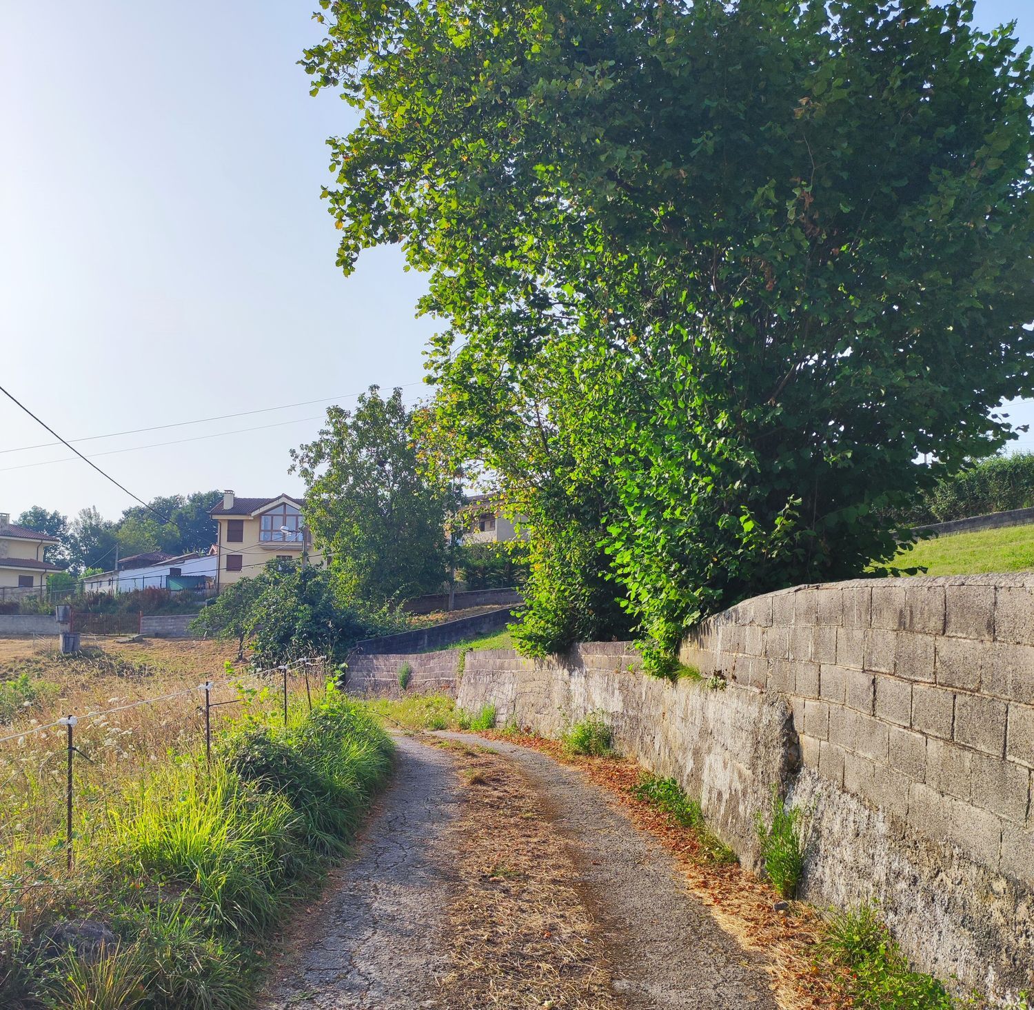 Fincas y solares-Venta-Siero-1834076-Foto-8