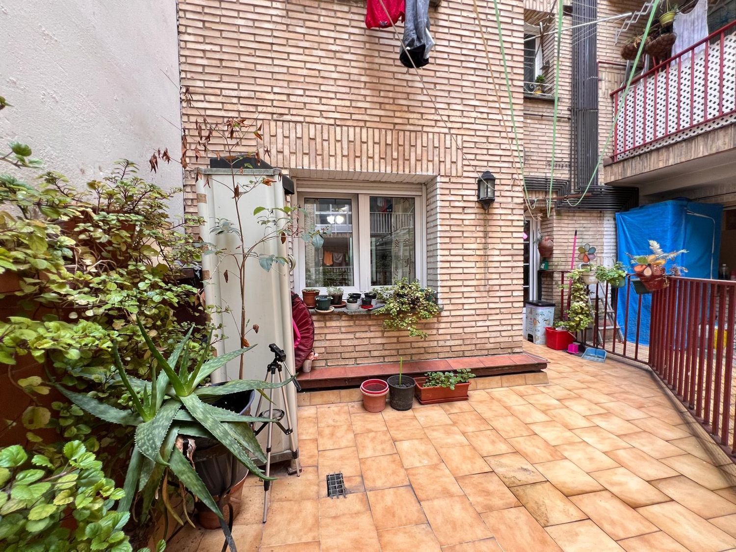 Pisos-Venta-GijÃ³n-1834037-Foto-9