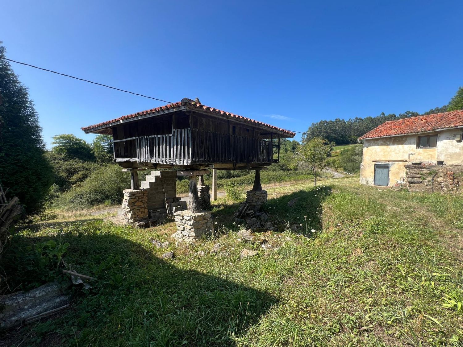 Fincas y solares-Venta-Soto del Barco-1834052-Foto-2