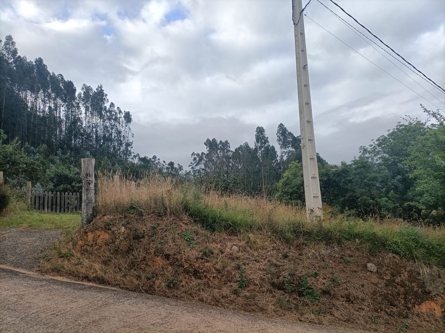 Fincas y solares-Venta-Llanera-1763509-Foto-32