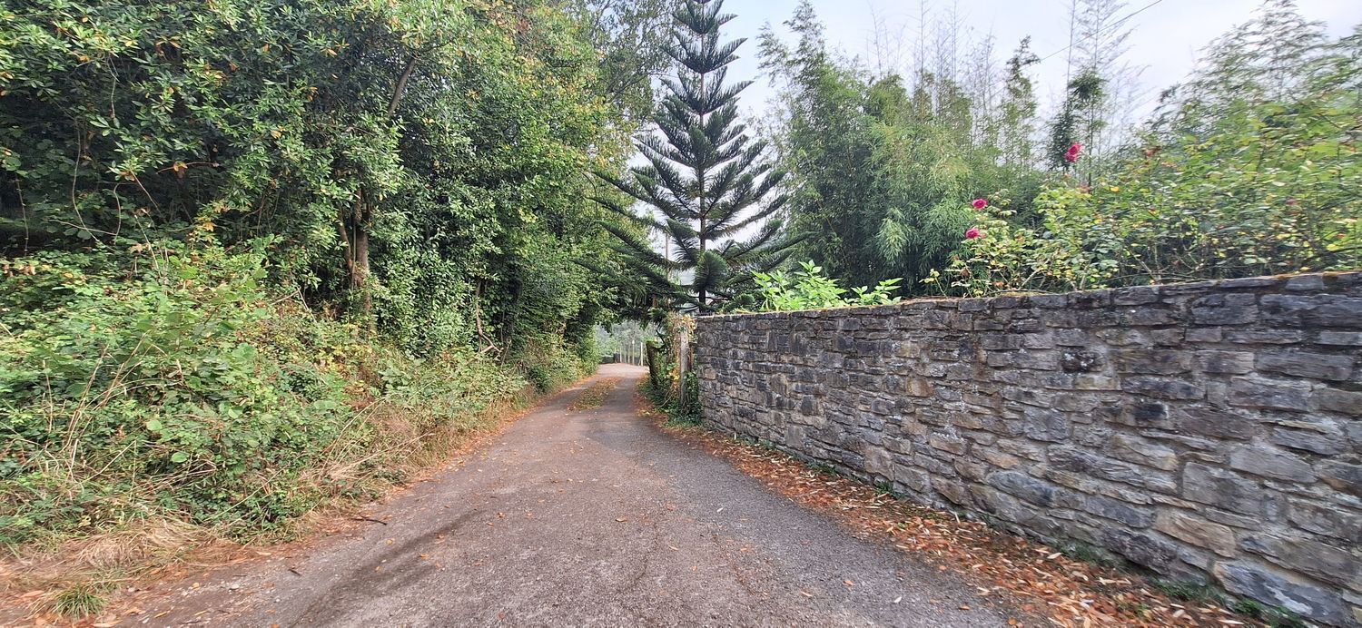 Fincas y solares-Venta-GijÃ³n-1834073-Foto-2