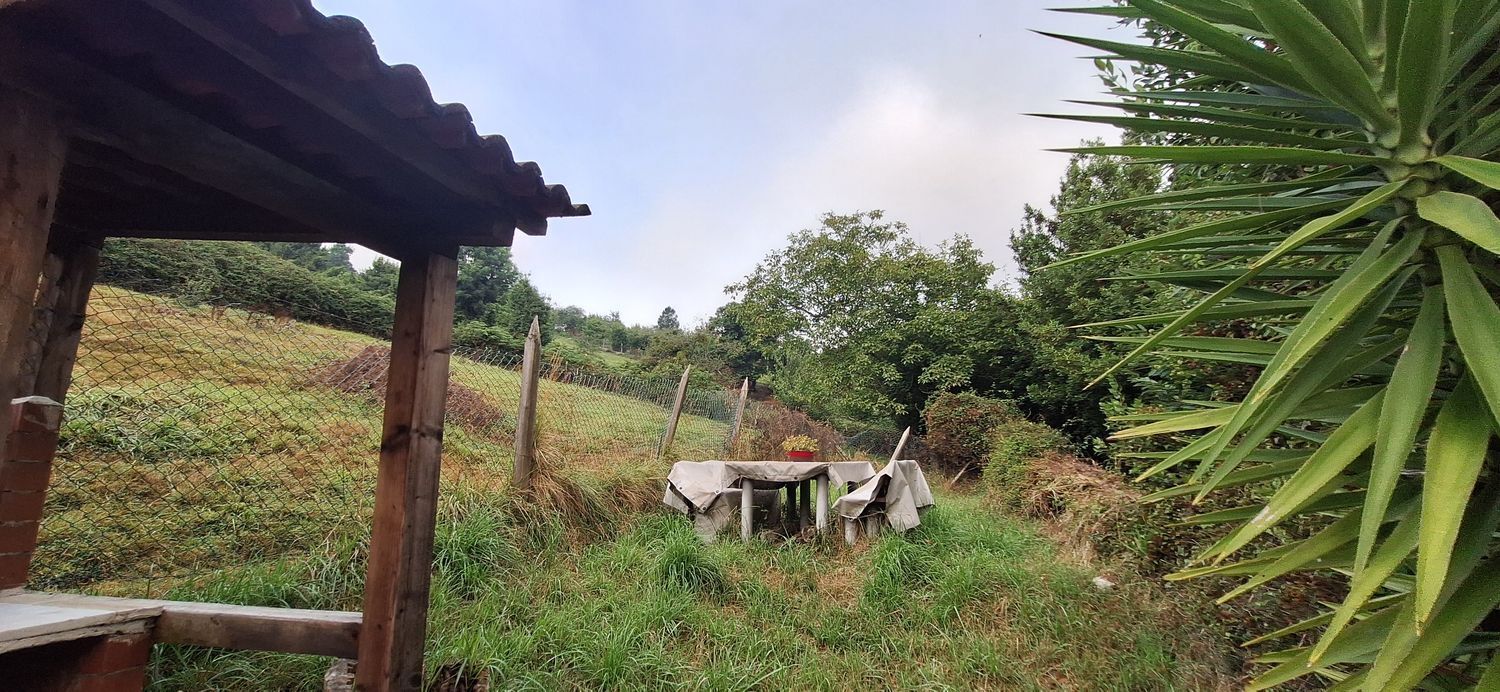 Fincas y solares-Venta-GijÃ³n-1834073-Foto-9