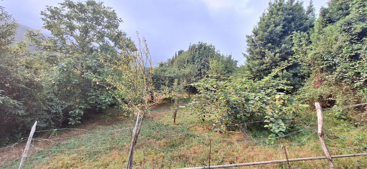 Fincas y solares-Venta-GijÃ³n-1834073-Foto-26