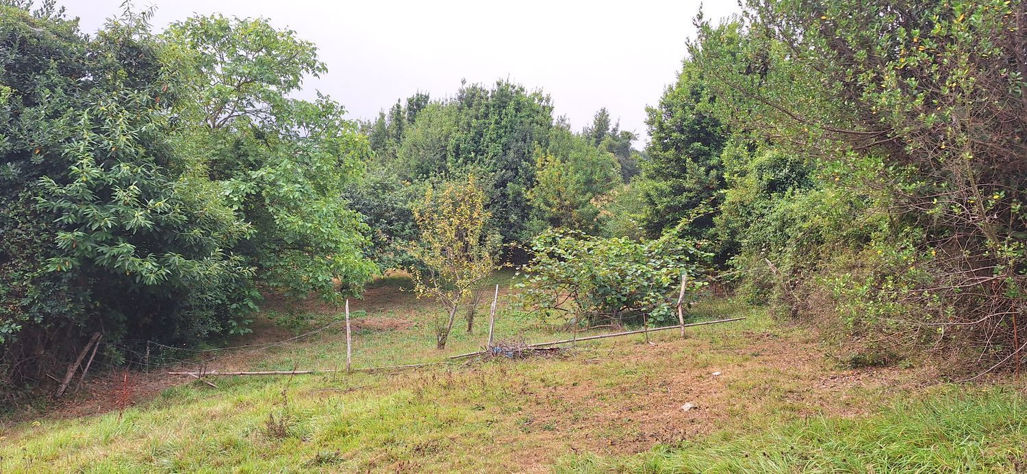 Fincas y solares-Venta-GijÃ³n-1834073-Foto-25