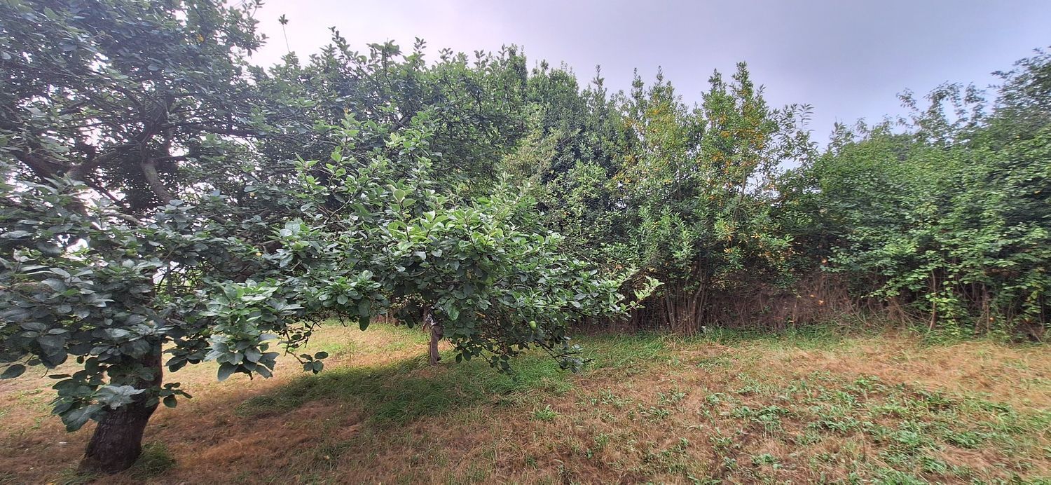 Fincas y solares-Venta-GijÃ³n-1834073-Foto-29