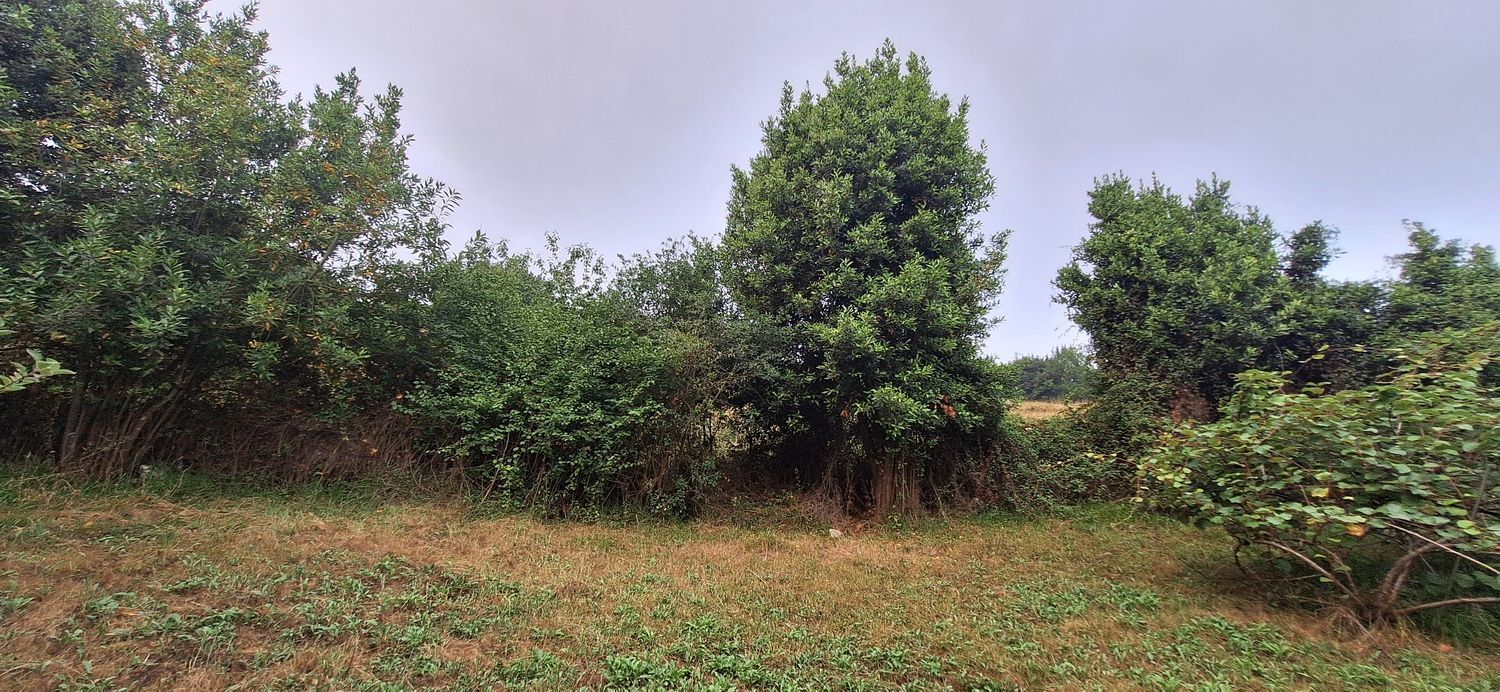 Fincas y solares-Venta-GijÃ³n-1834073-Foto-28