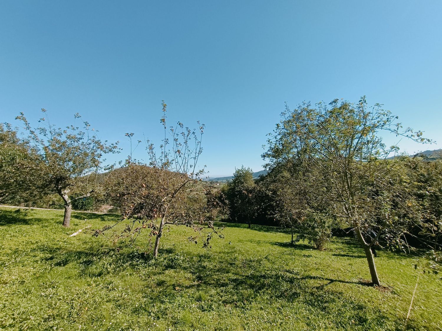 Fincas y solares-Venta-1427644