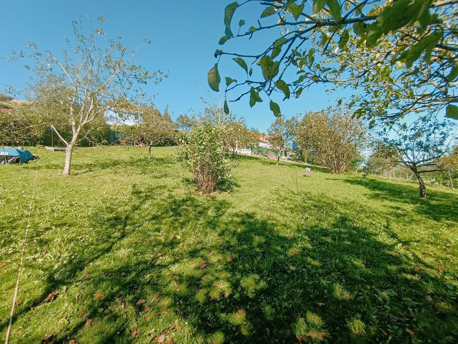 Fincas y solares-Venta-Las Tres Villas-1427644-Foto-11