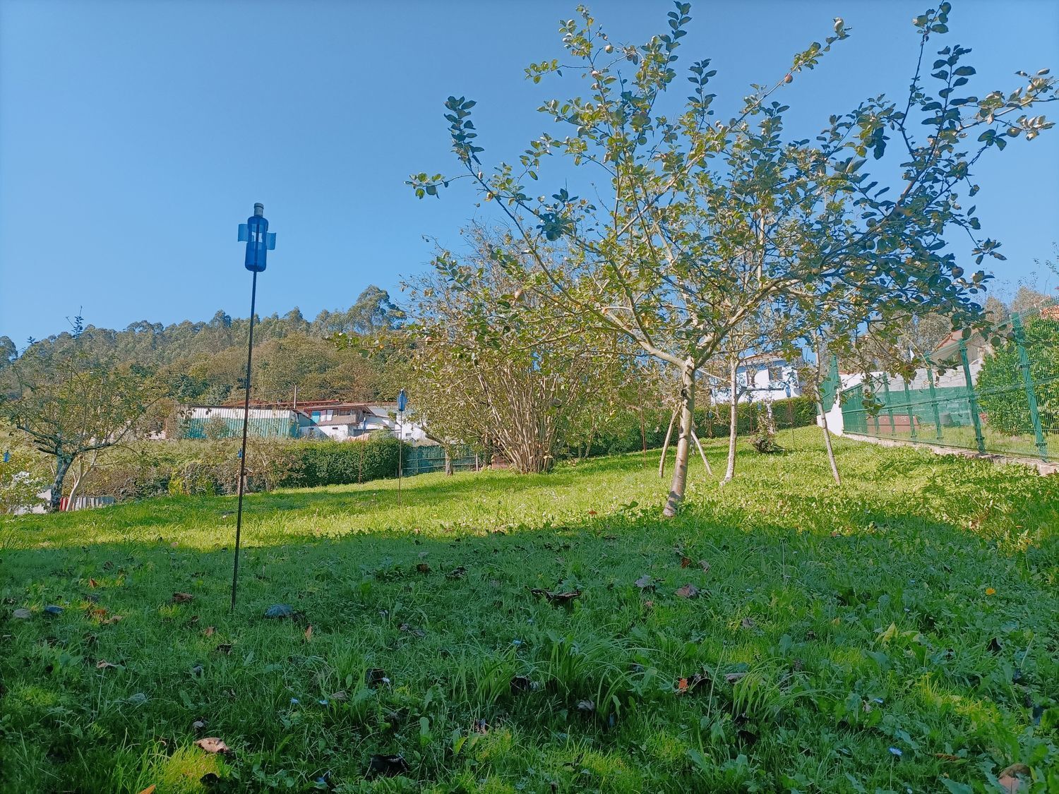 Fincas y solares-Venta-Las Tres Villas-1427644-Foto-9