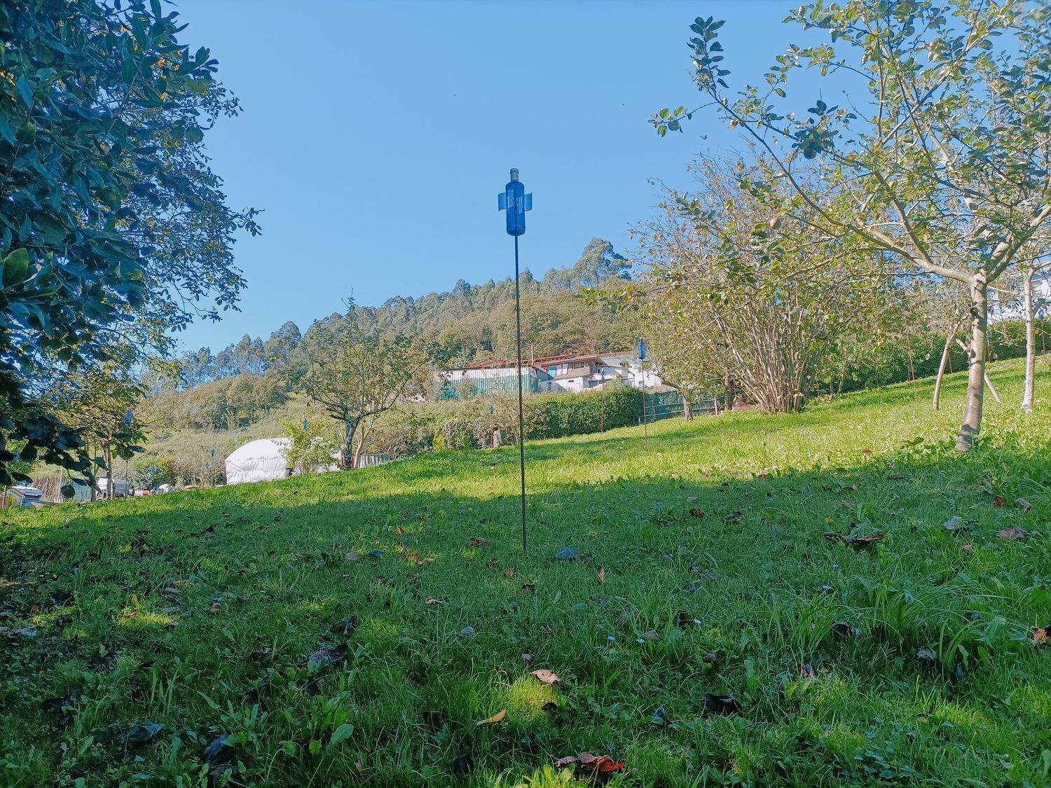 Fincas y solares-Venta-Las Tres Villas-1427644-Foto-8