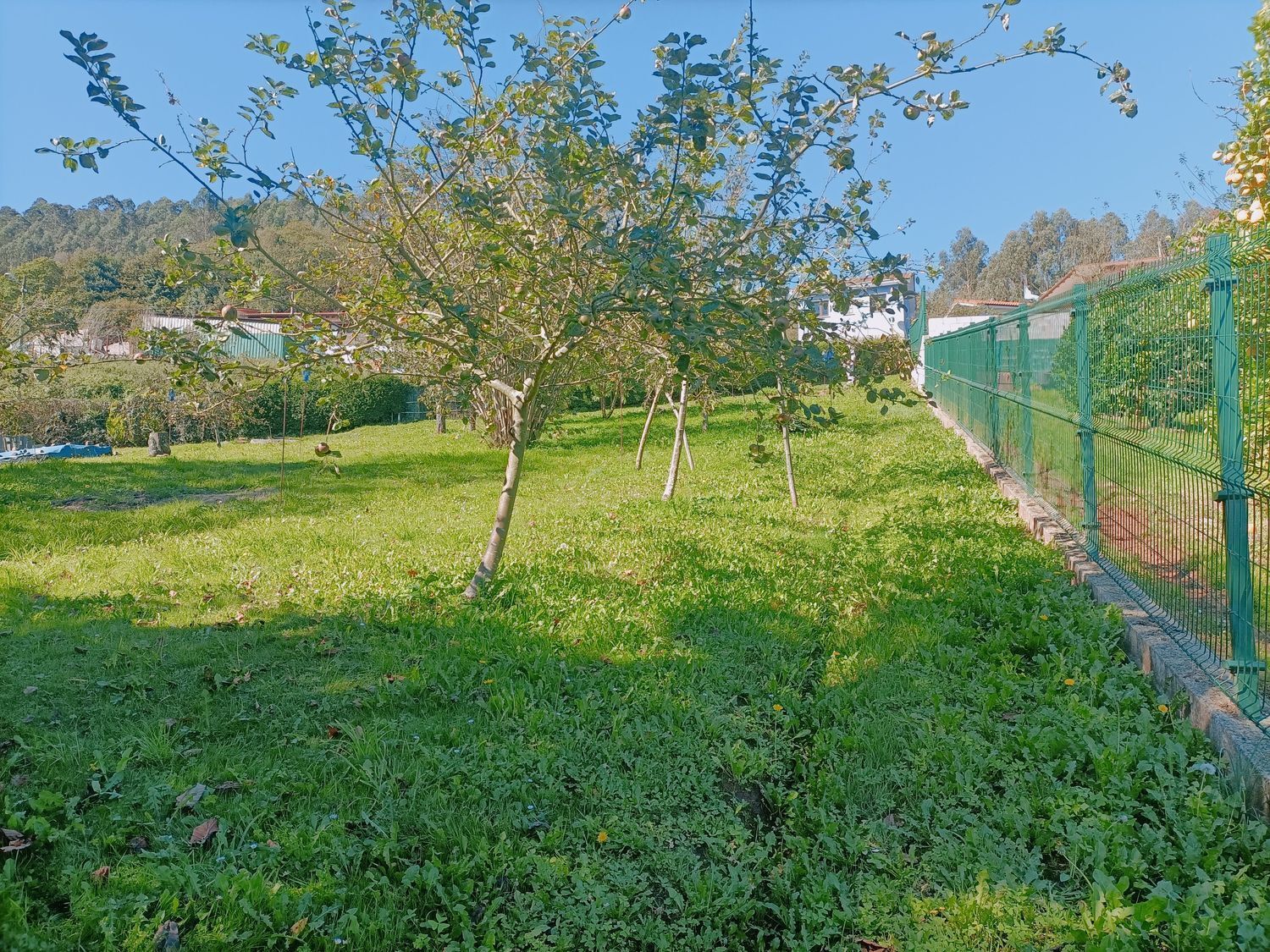 Fincas y solares-Venta-Las Tres Villas-1427644-Foto-6