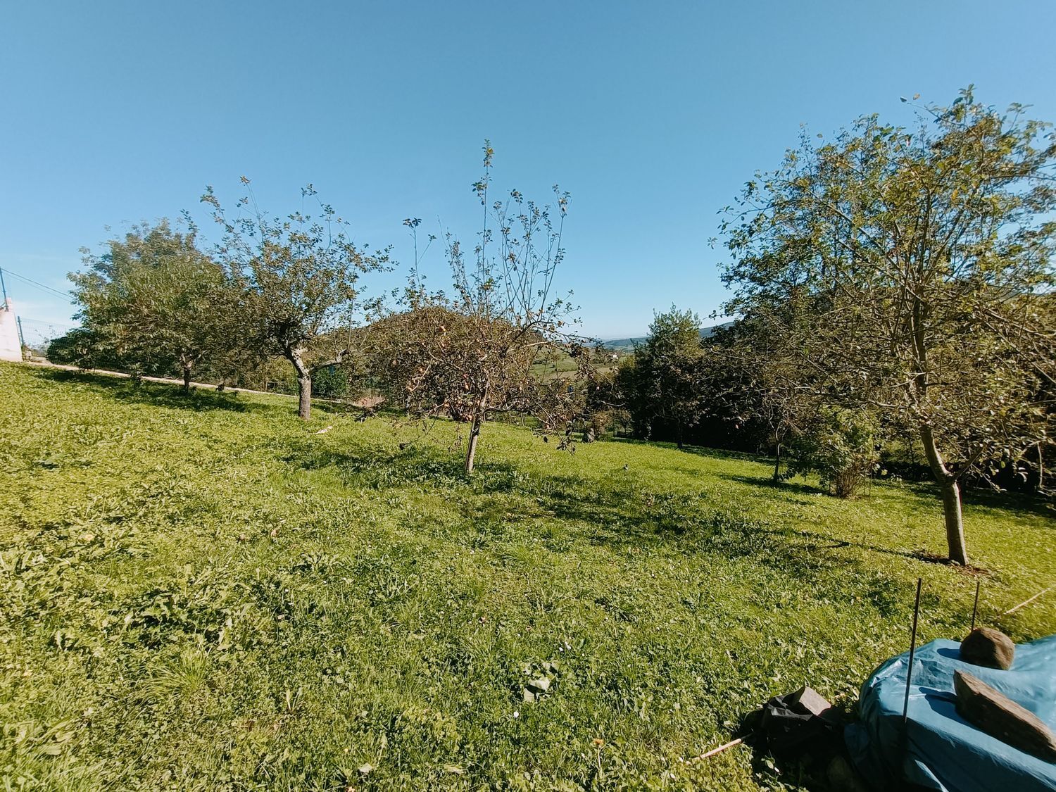 Fincas y solares-Venta-Las Tres Villas-1427644-Foto-14