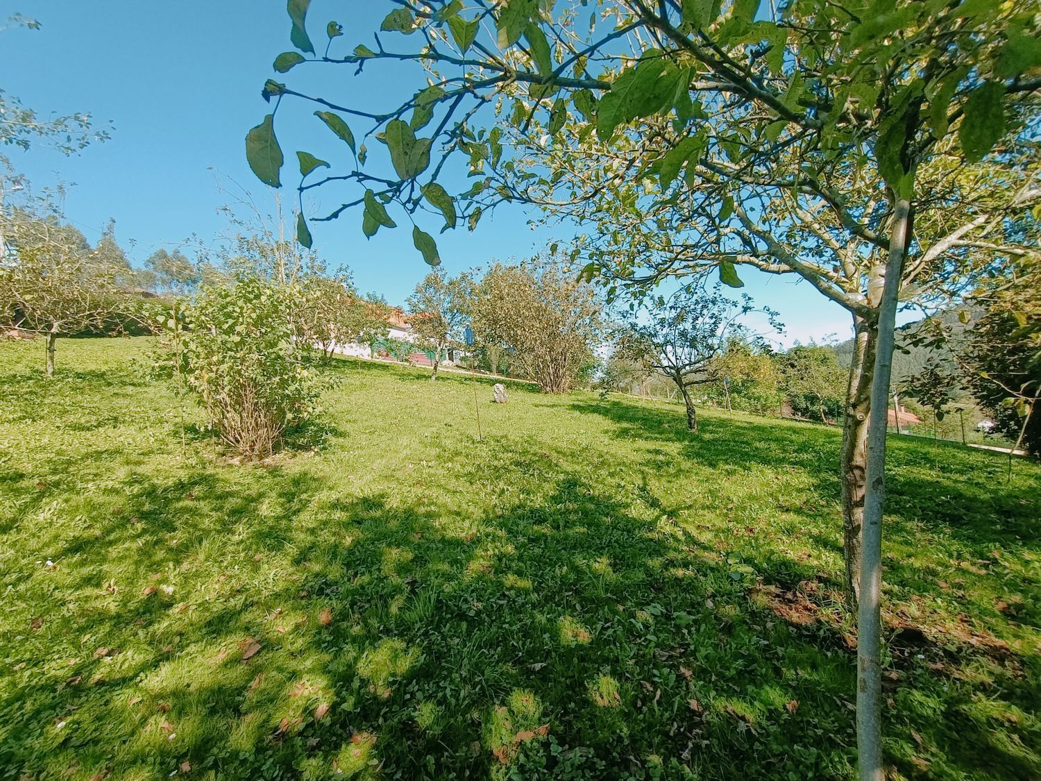 Fincas y solares-Venta-Las Tres Villas-1427644-Foto-12