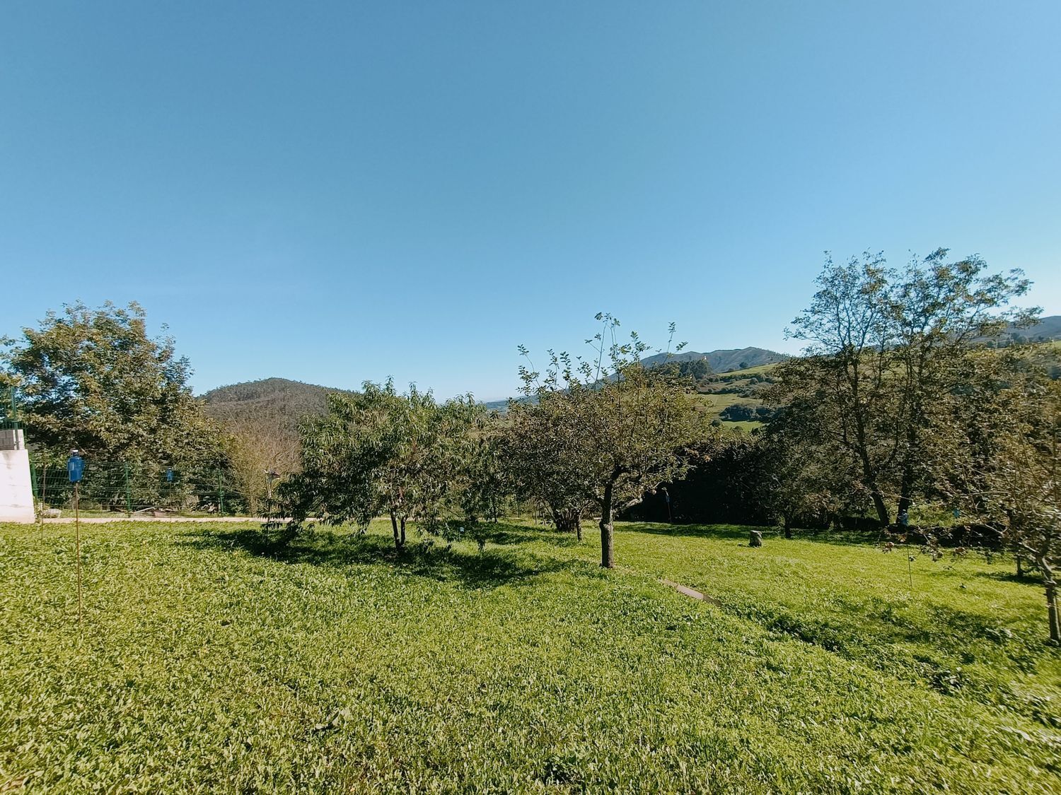 Fincas y solares-Venta-Las Tres Villas-1427644-Foto-17