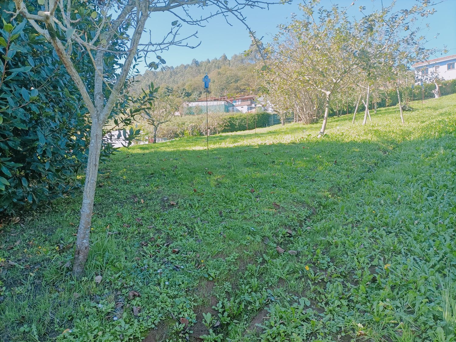 Fincas y solares-Venta-Las Tres Villas-1427644-Foto-21