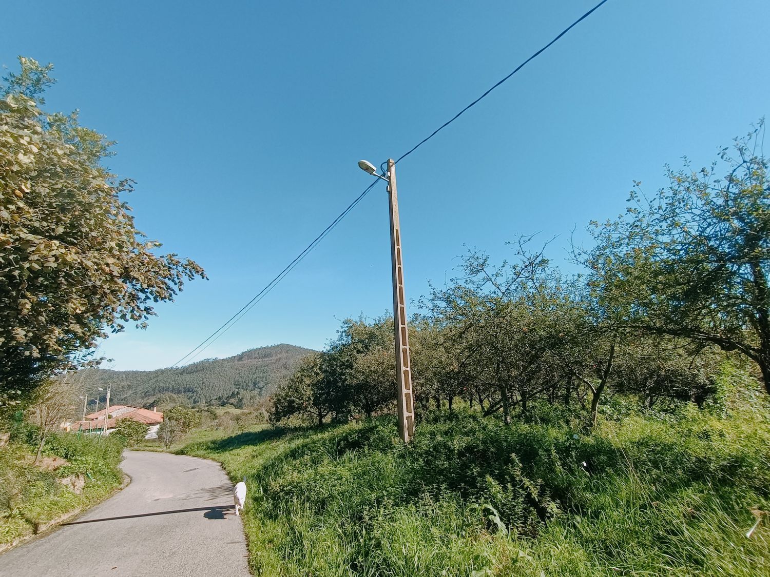 Fincas y solares-Venta-Las Tres Villas-1427644-Foto-19