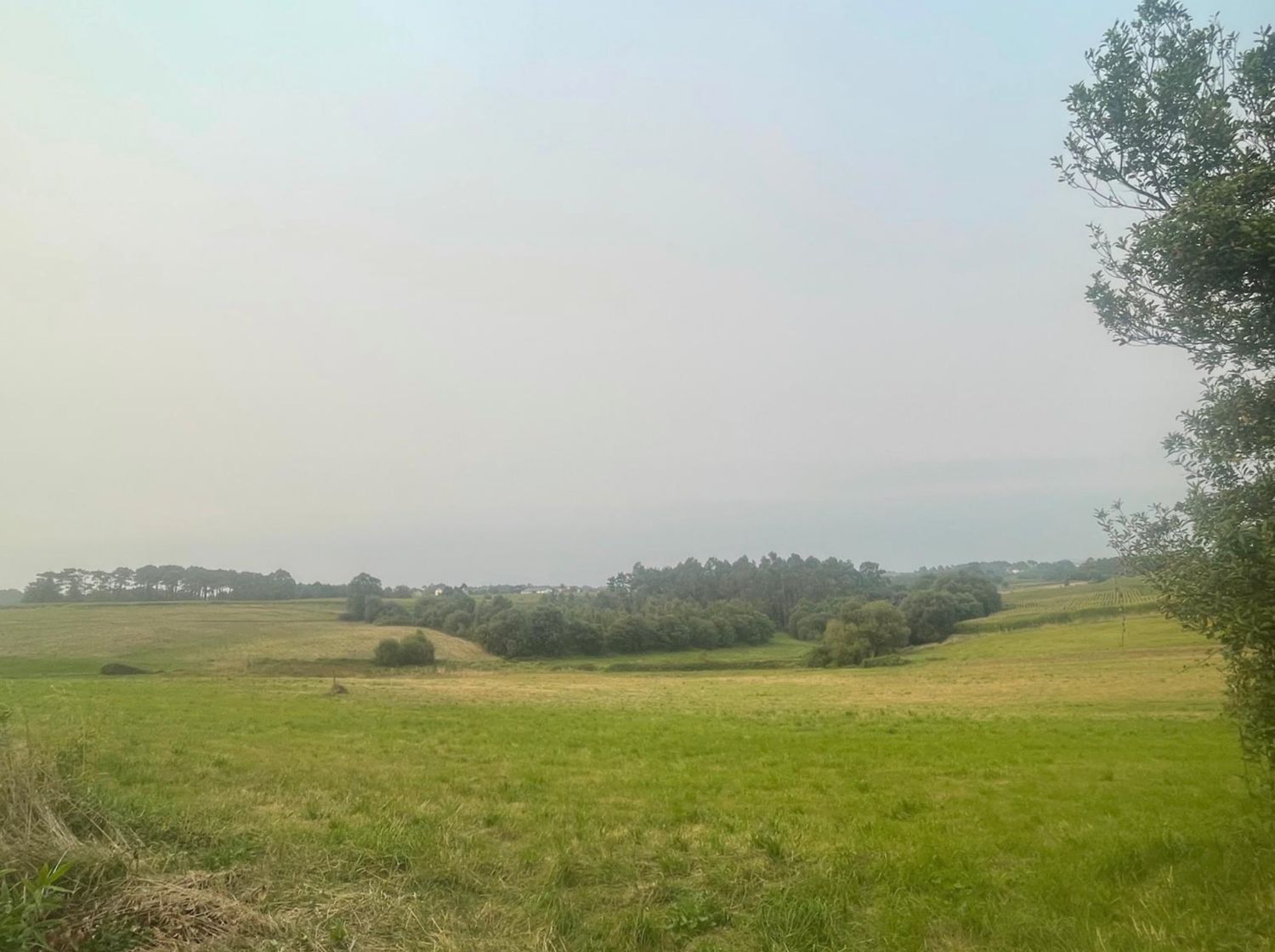 Casas o chalets-Venta-1834070