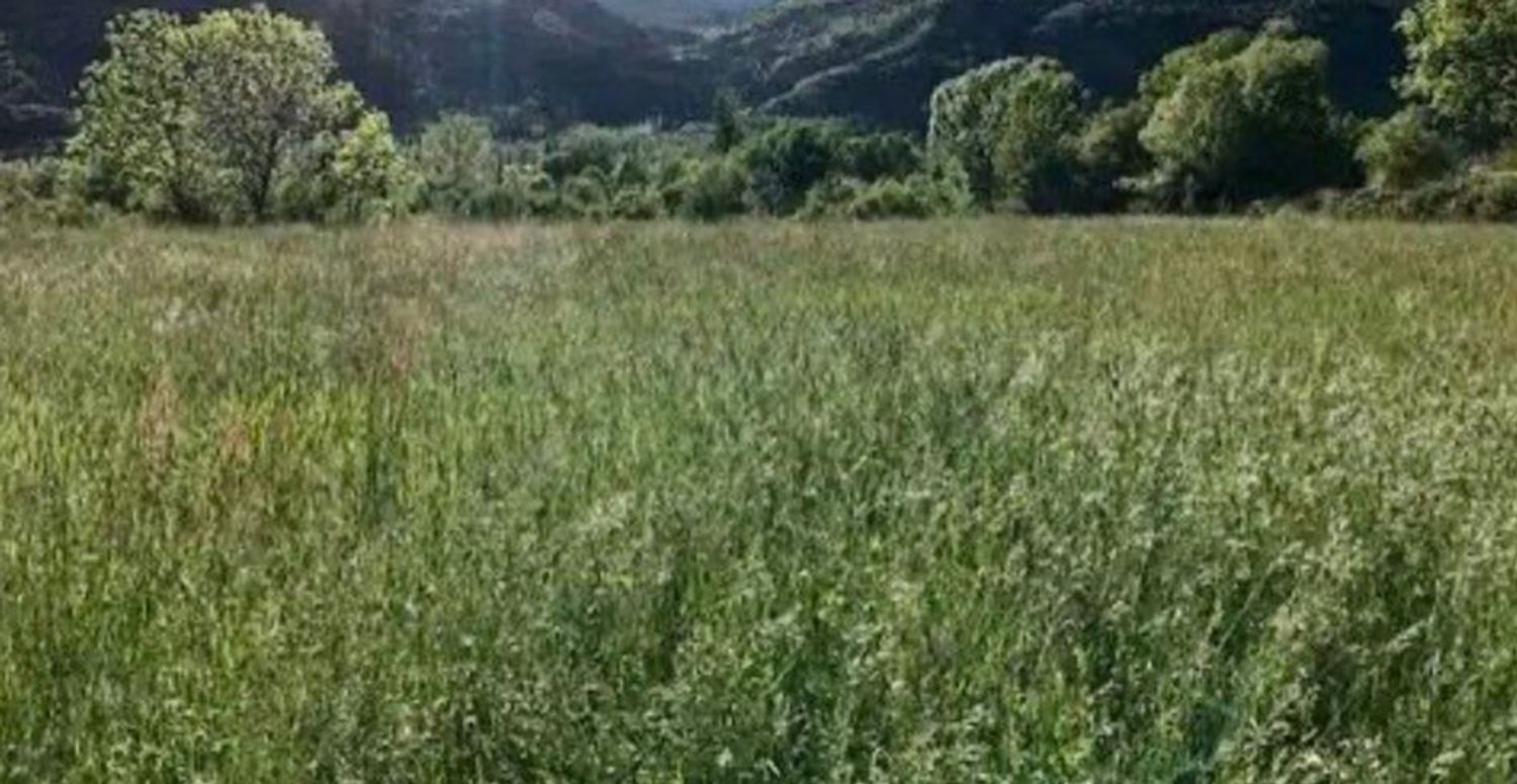 Fincas y solares-Venta-ValdÃ©s-1834034-Foto-2