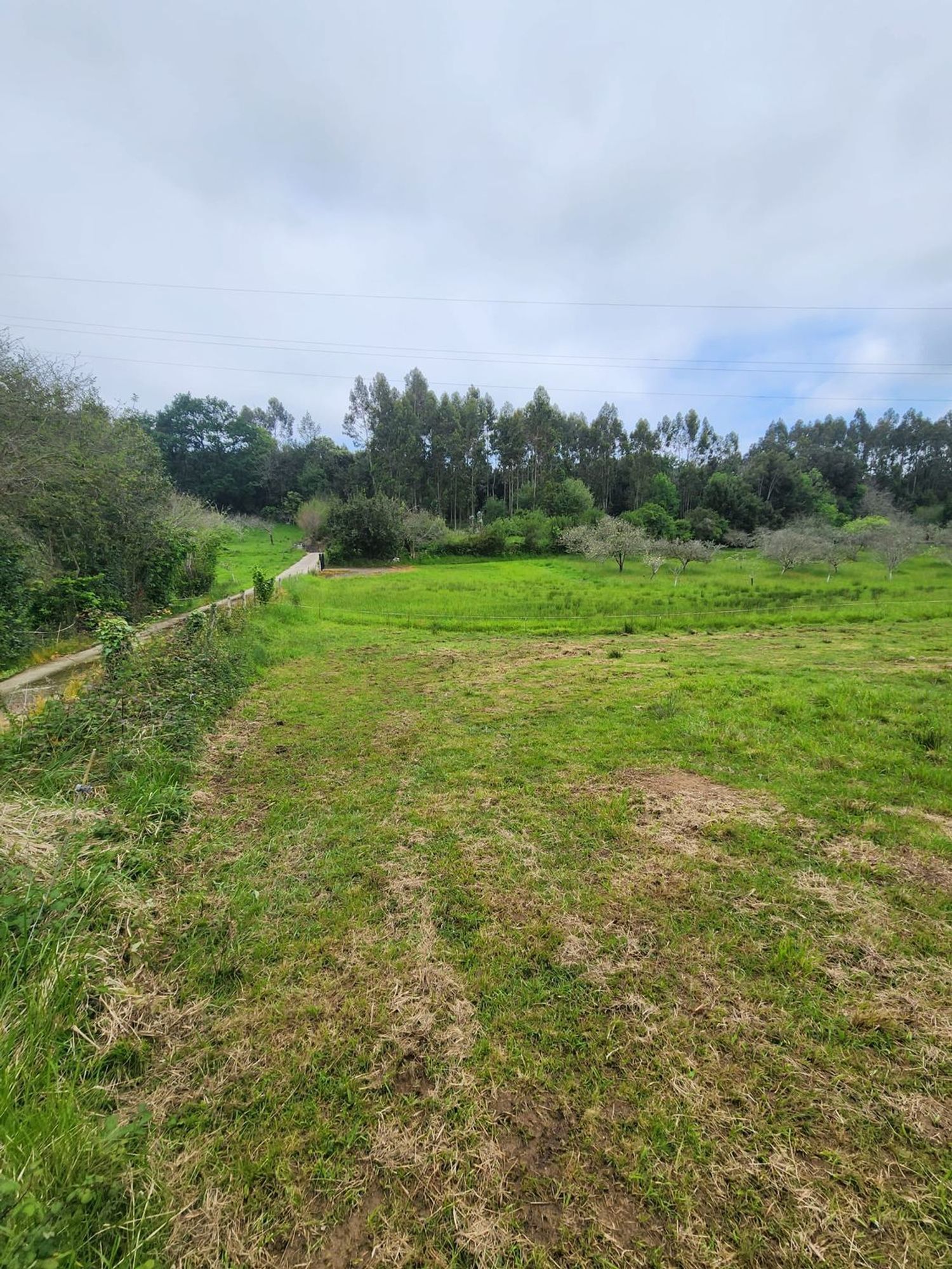 Fincas y solares-Venta-Ribadesella-1762193-Foto-5