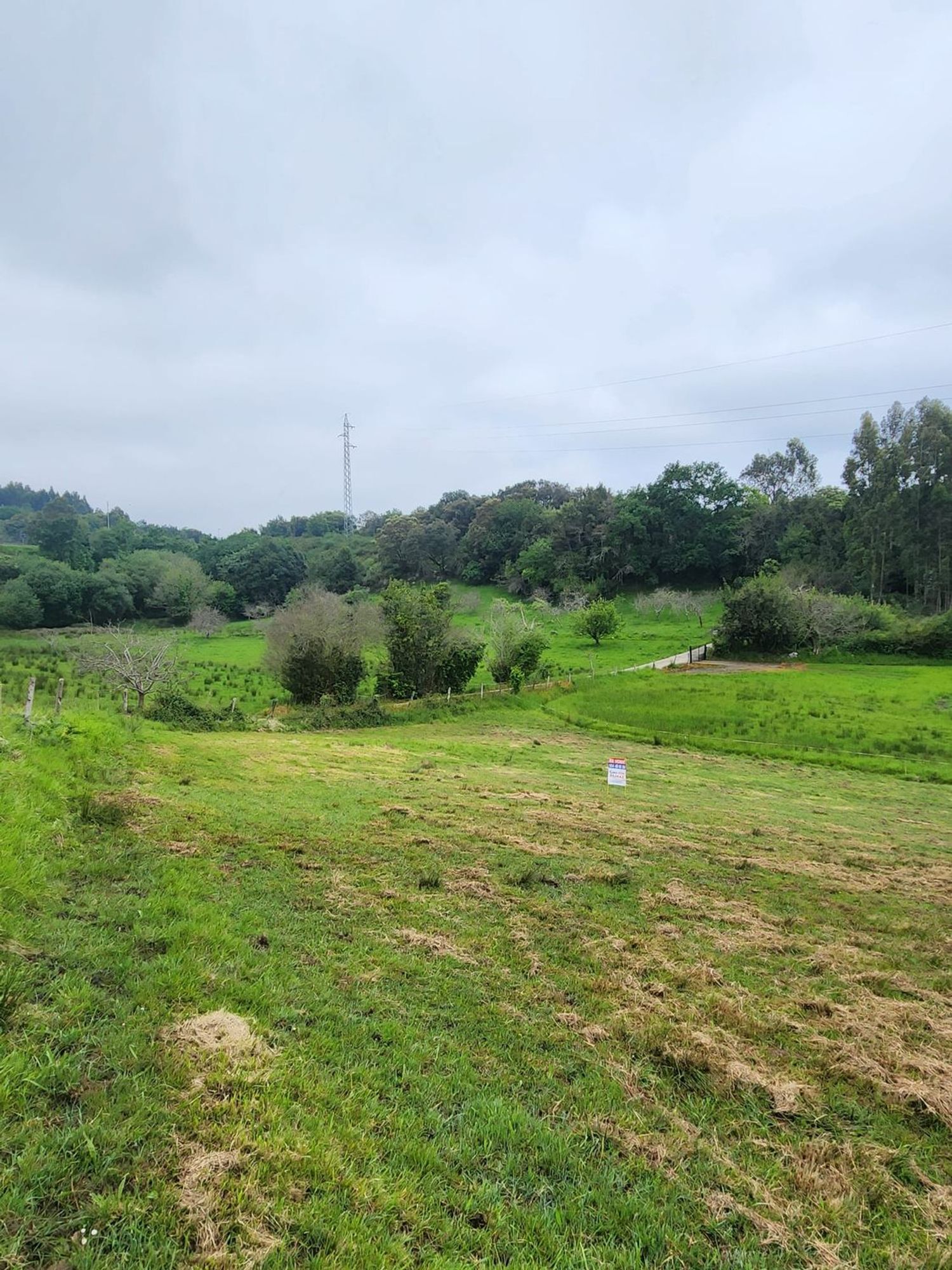 Fincas y solares-Venta-Ribadesella-1762193-Foto-7