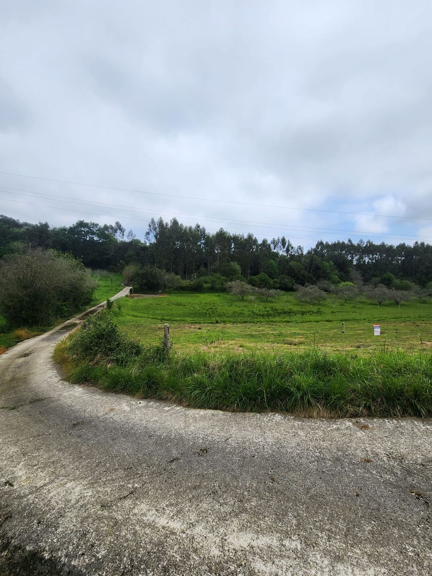 Fincas y solares-Venta-Ribadesella-1762193-Foto-10