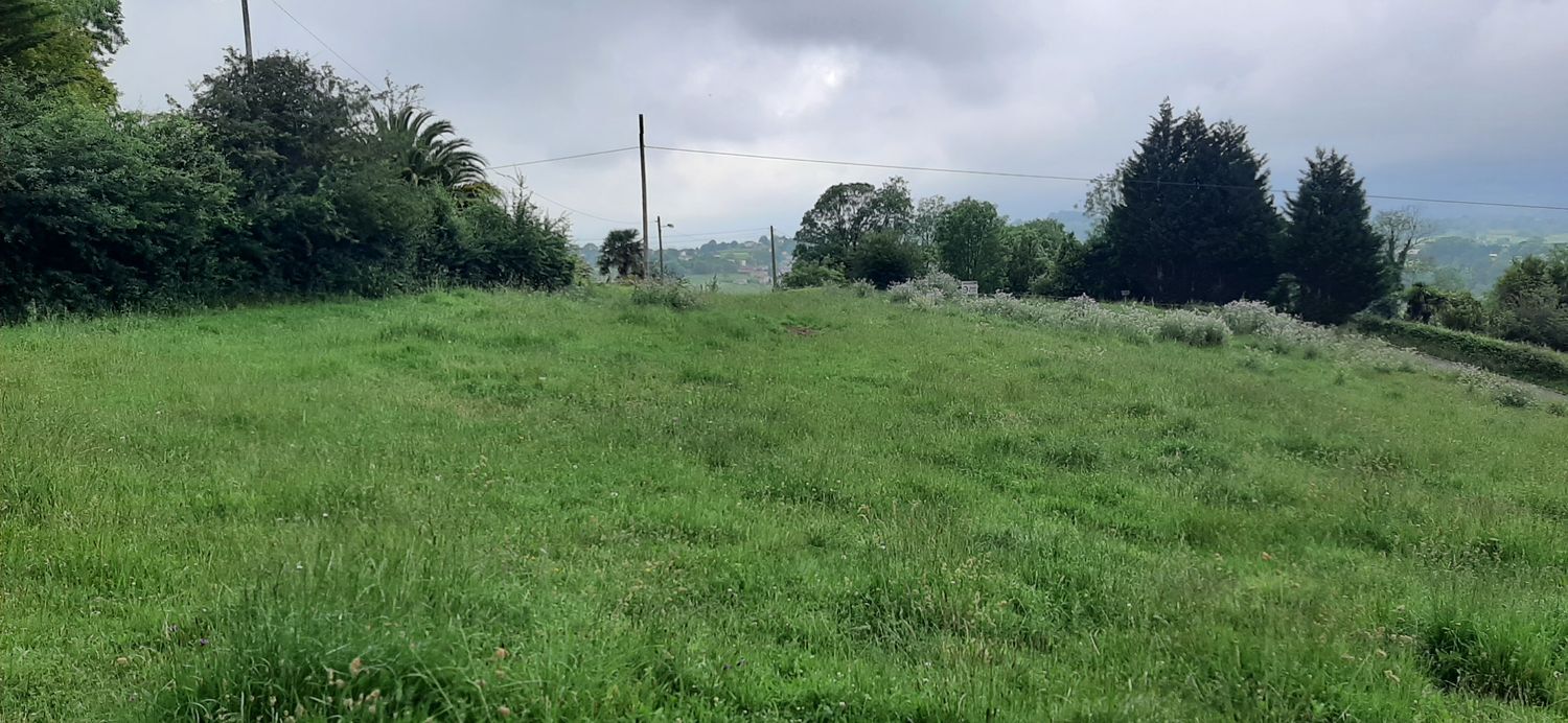 Fincas y solares-Venta-Las Navas del Marqués-1397204