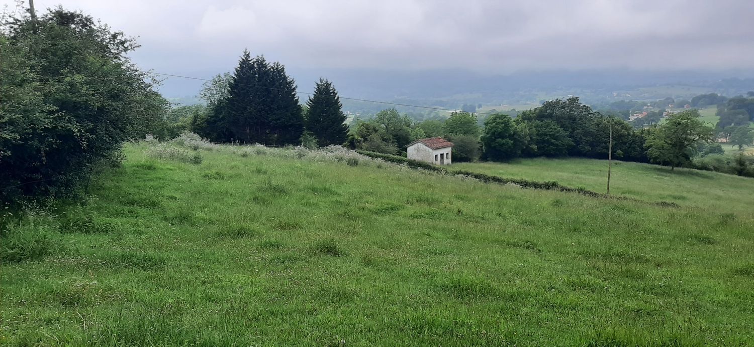 Fincas y solares-Venta-Las Navas del MarquÃ©s-1397204-Foto-2