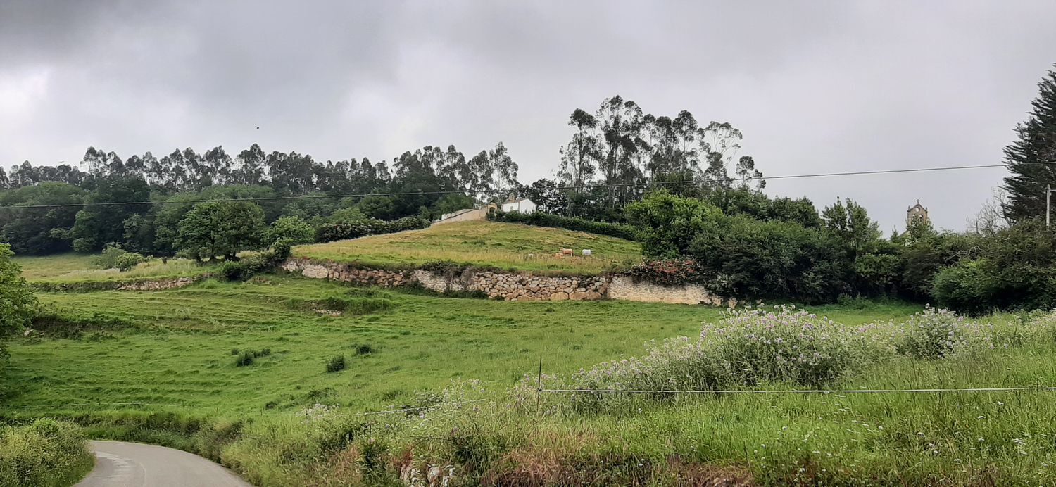 Fincas y solares-Venta-Las Navas del MarquÃ©s-1397204-Foto-4