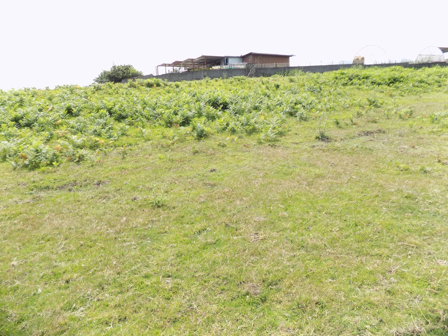Fincas y solares-Venta-Gijón-908089