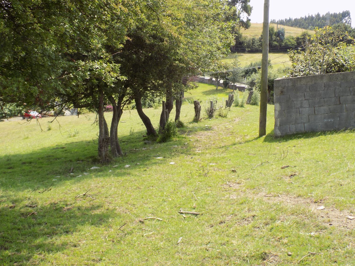 Fincas y solares-Venta-GijÃ³n-908089-Foto-8