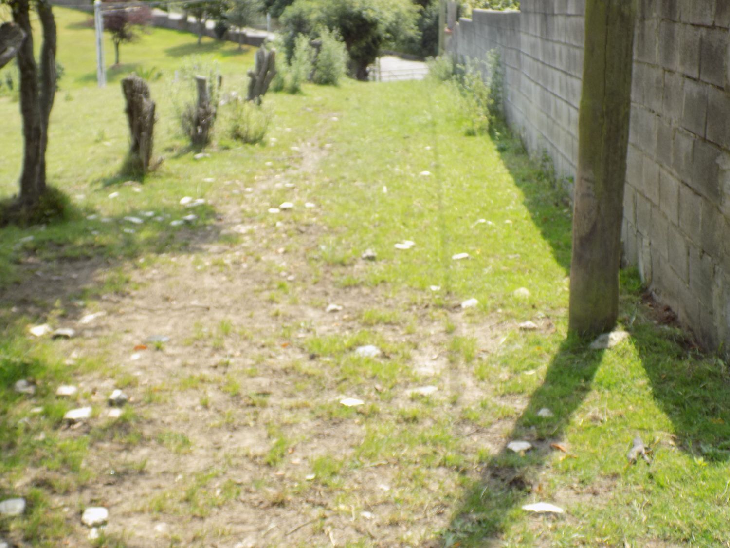 Fincas y solares-Venta-GijÃ³n-908089-Foto-7