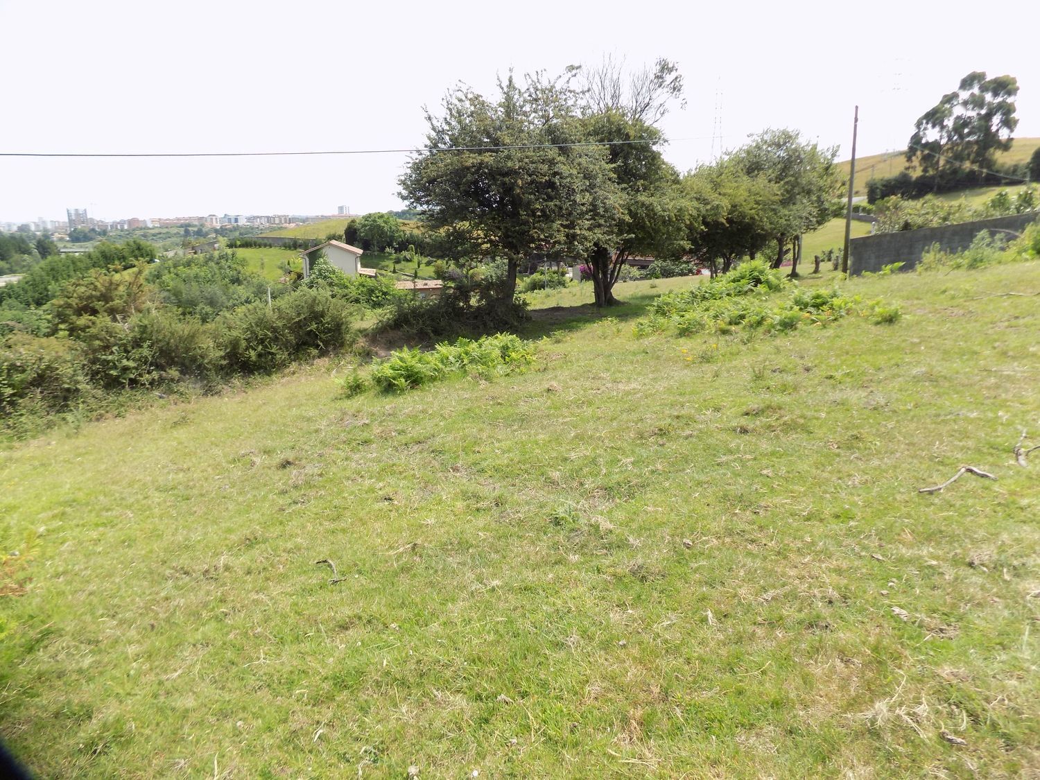 Fincas y solares-Venta-GijÃ³n-908089-Foto-9