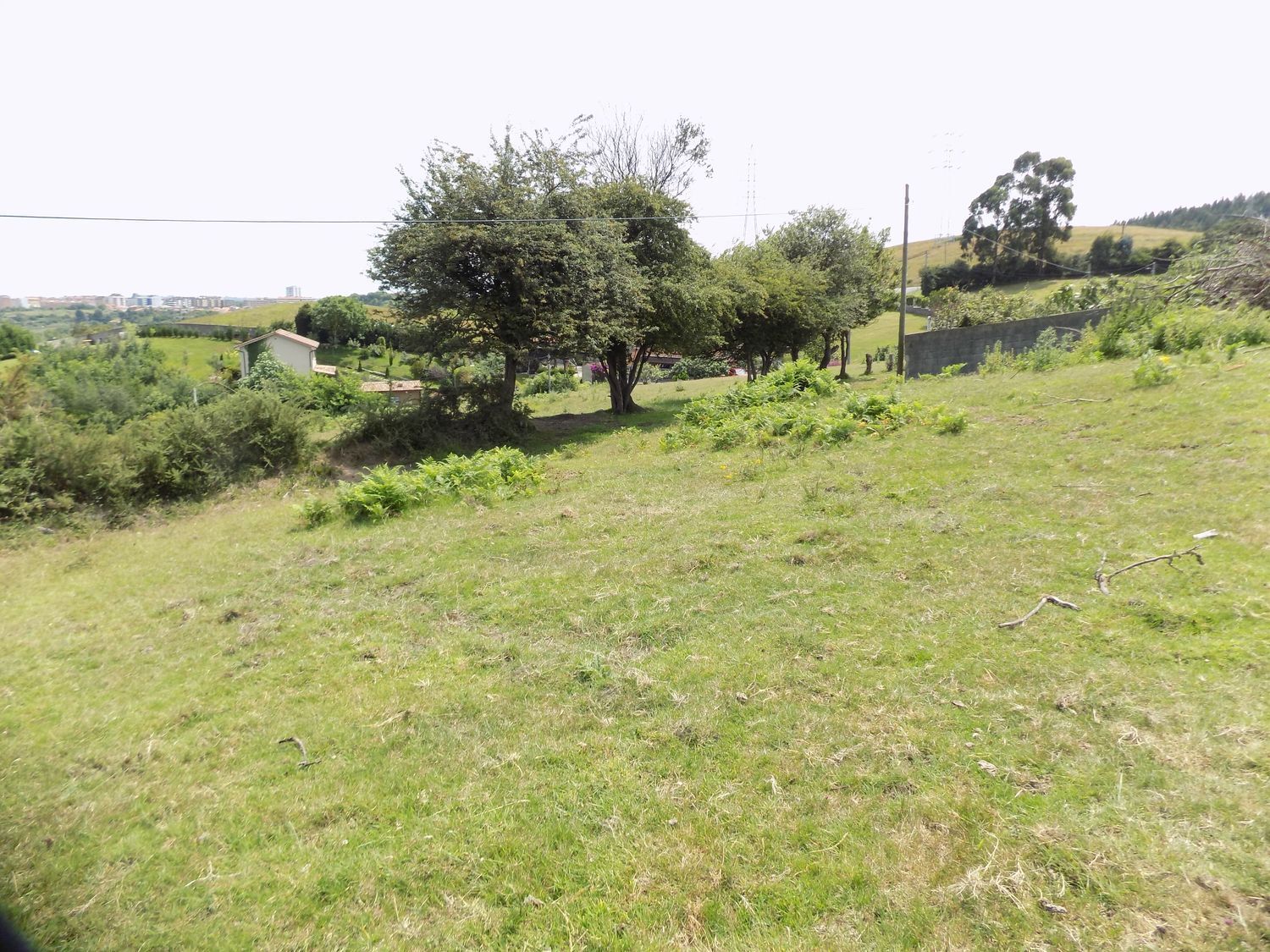 Fincas y solares-Venta-GijÃ³n-908089-Foto-11