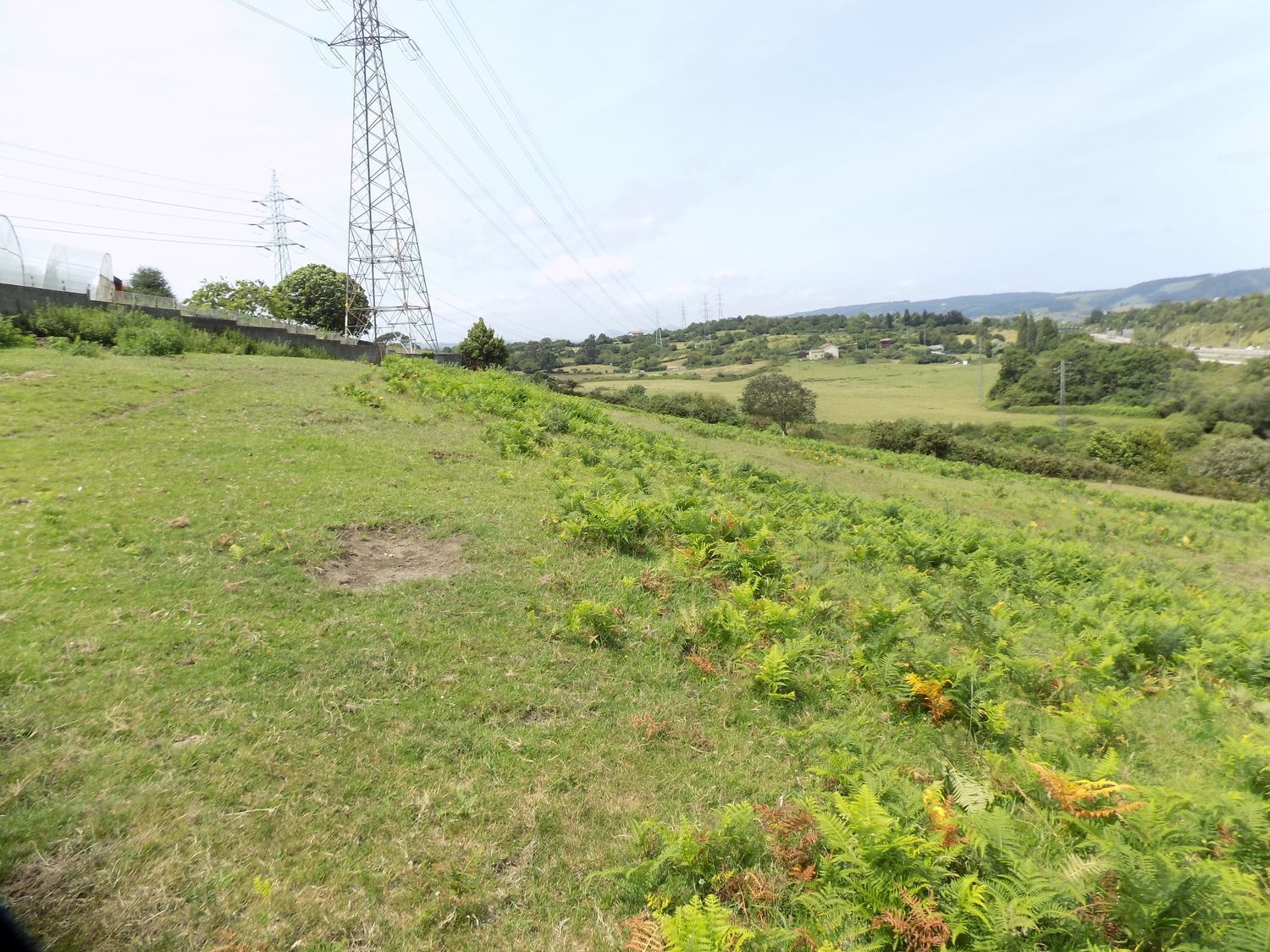 Fincas y solares-Venta-GijÃ³n-908089-Foto-16