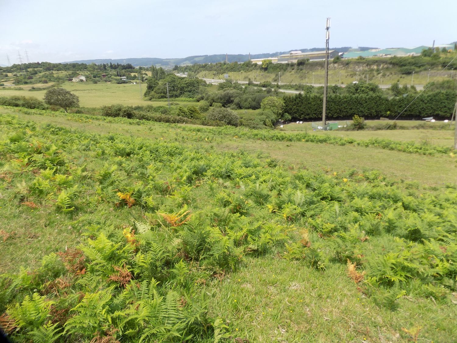 Fincas y solares-Venta-GijÃ³n-908089-Foto-17