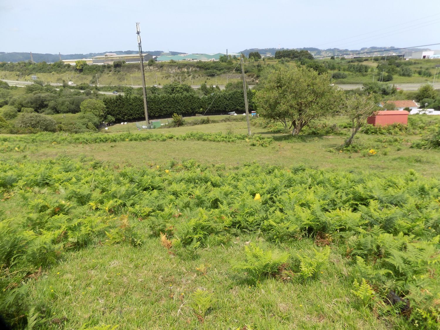 Fincas y solares-Venta-GijÃ³n-908089-Foto-18