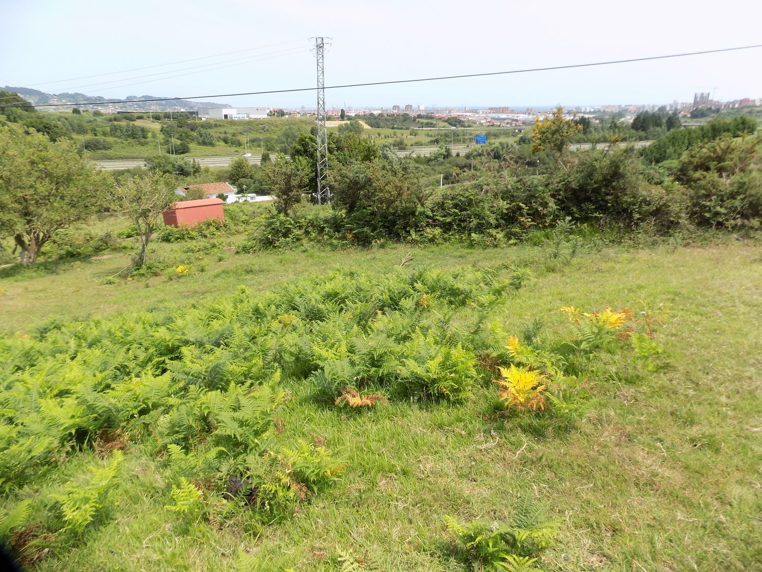 Fincas y solares-Venta-GijÃ³n-908089-Foto-19