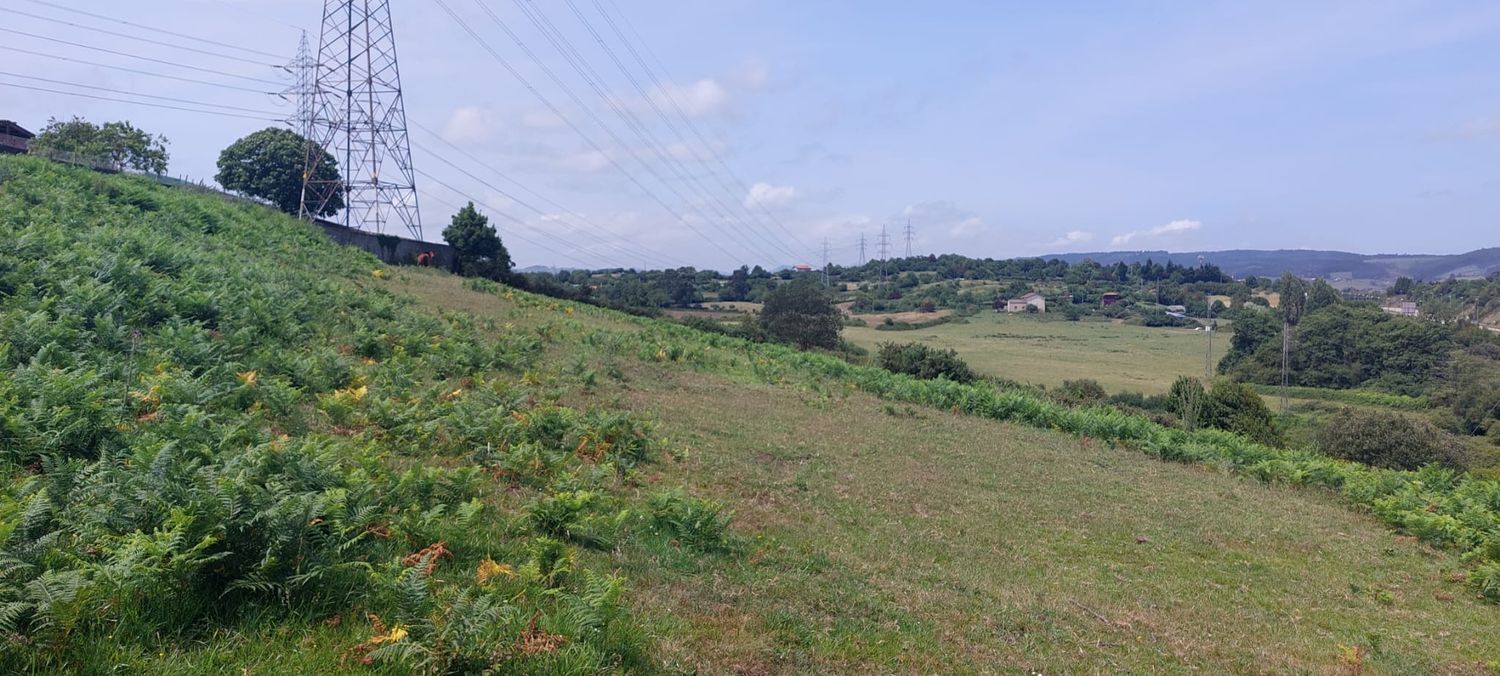 Fincas y solares-Venta-GijÃ³n-908089-Foto-28