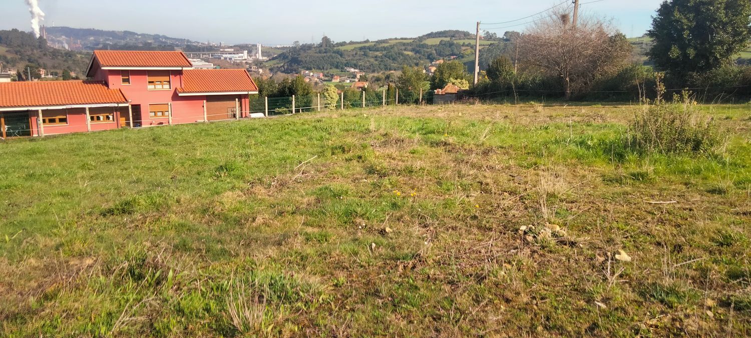 Fincas y solares-Venta-GijÃ³n-1653389-Foto-10