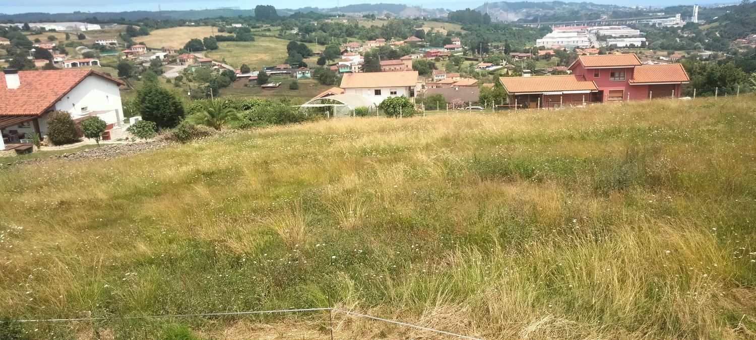 Fincas y solares-Venta-GijÃ³n-1653389-Foto-12