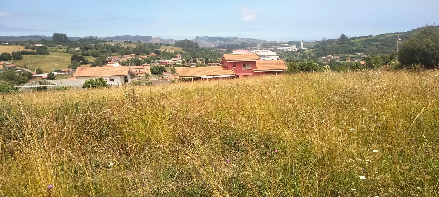 Fincas y solares-Venta-GijÃ³n-1653389-Foto-14