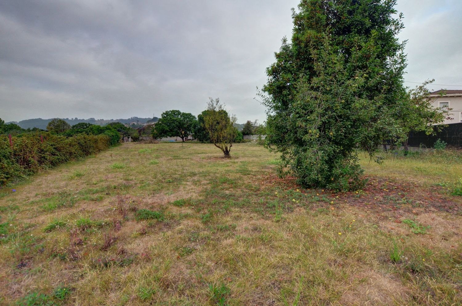 Fincas y solares-Venta-Gijón-1834822