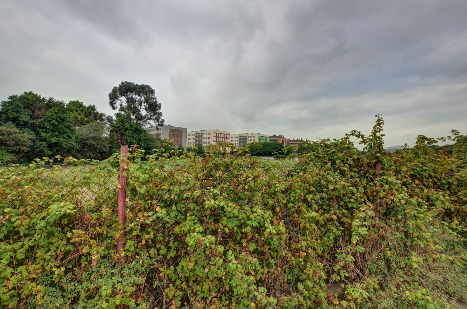 Fincas y solares-Venta-GijÃ³n-1834822-Foto-9