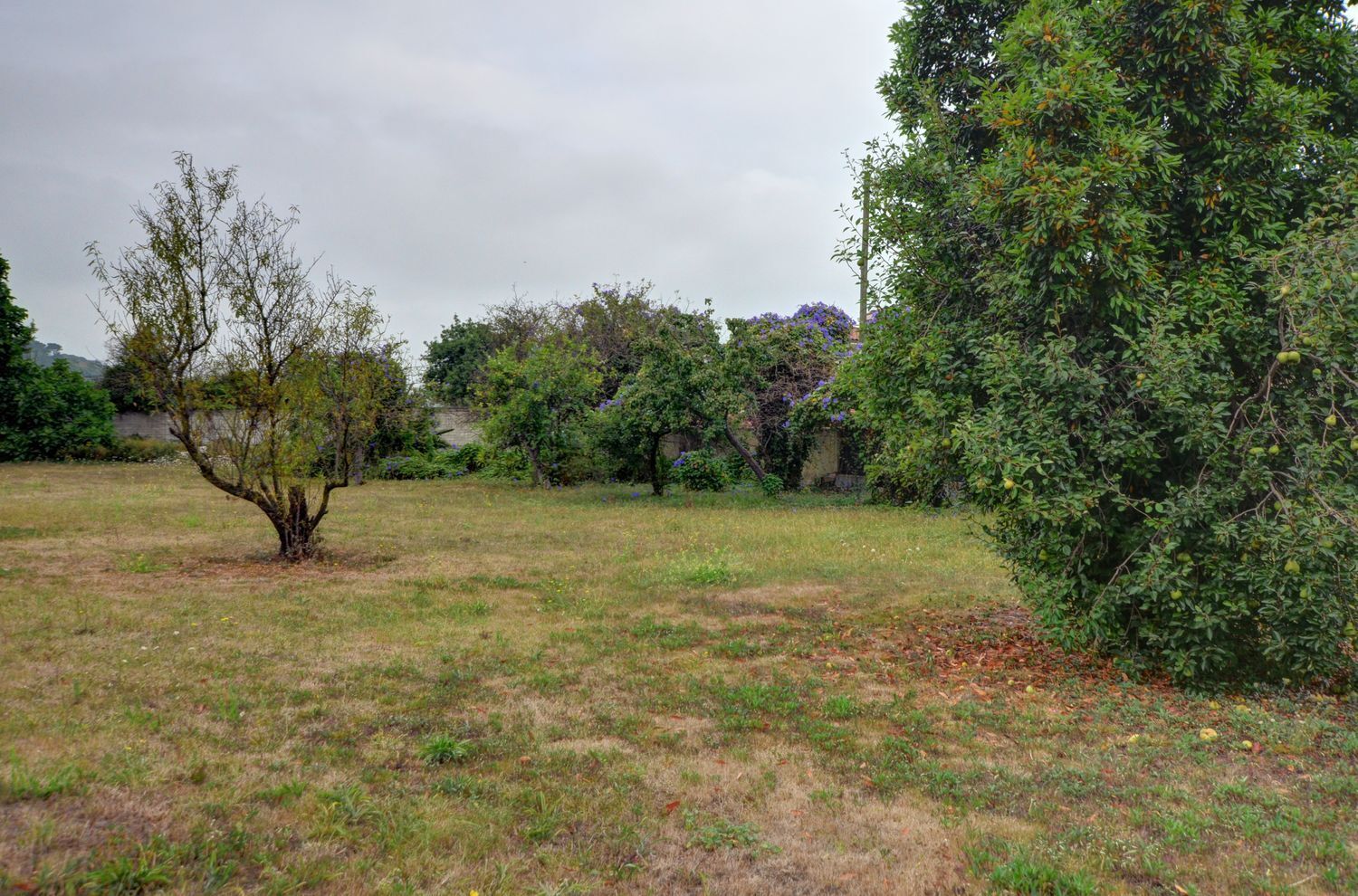 Fincas y solares-Venta-GijÃ³n-1834822-Foto-7