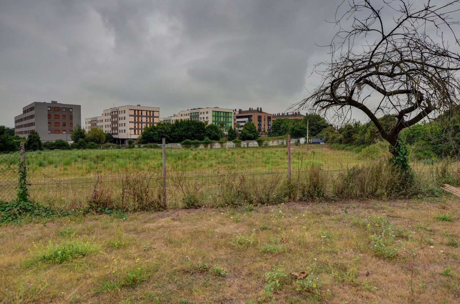 Fincas y solares-Venta-GijÃ³n-1834822-Foto-15