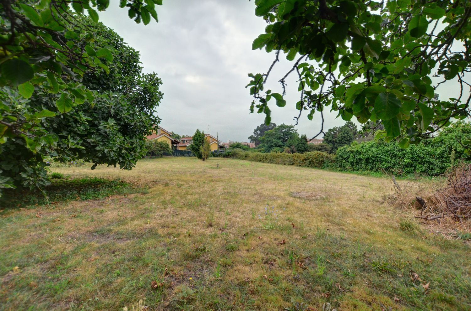 Fincas y solares-Venta-GijÃ³n-1834822-Foto-13