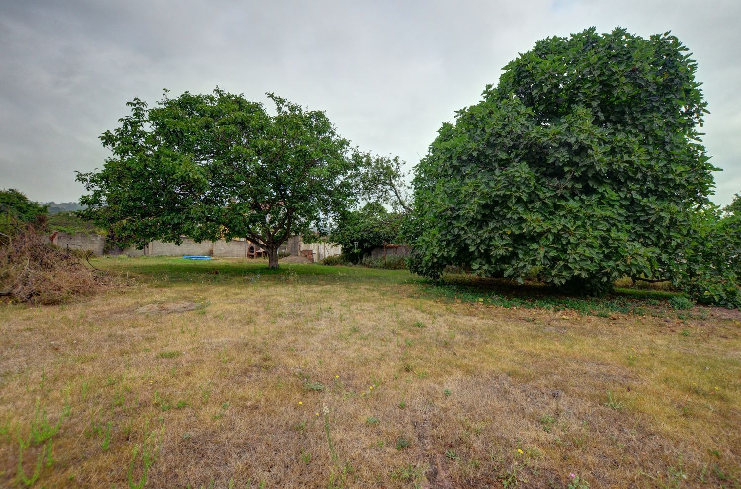 Fincas y solares-Venta-GijÃ³n-1834822-Foto-12